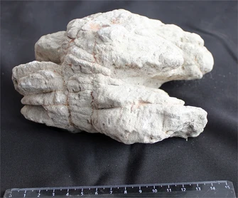 Камень-эксклюзив Лао S №1 PR-727477-1
