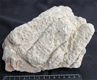 Камень-эксклюзив Лао S №7 PR-727477-7