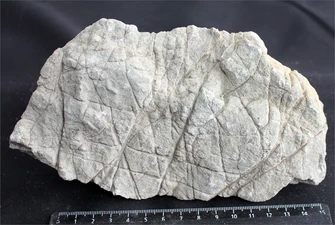 Камень-эксклюзив Лао S №10 PR-727477-10