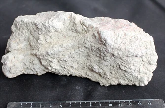 Камень-эксклюзив Лао S №16 PR-727477-16