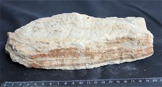 Камень-эксклюзив Пагода S (10-20см) №10 PR-222599-10