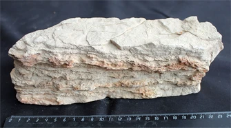 Камень-эксклюзив Пагода M (20-30см) №2 PR-222582-2