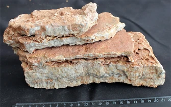 Камень-эксклюзив Пагода M (20-30см) №3 PR-222582-3