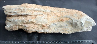Камень-эксклюзив Пагода M (20-30см) №4 PR-222582-4