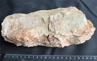 Камень-эксклюзив Пагода M (20-30см) №7 PR-222582-7