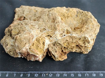 Камень-эксклюзив Сетчатый S (10-20см) №2 PR-222575-2