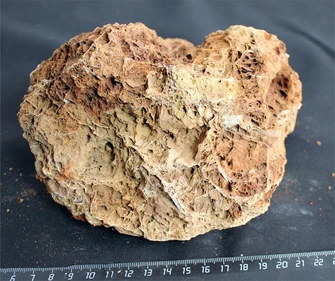 Камень-эксклюзив Сетчатый S (10-20см) №5 PR-222575-5