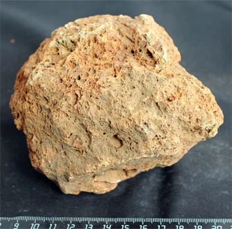 Камень-эксклюзив Сетчатый S (10-20см) №6 PR-222575-6