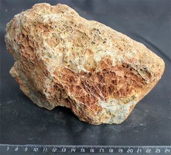 Камень-эксклюзив Сетчатый S (10-20см) №8 PR-222575-8