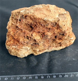 Камень-эксклюзив Сетчатый S (10-20см) №10 PR-222575-10