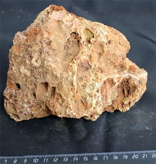 Камень-эксклюзив Сетчатый S (10-20см) №11 PR-222575-11