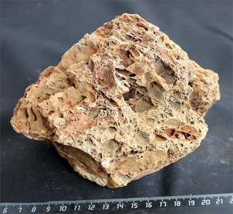 Камень-эксклюзив Сетчатый S (10-20см) №12 PR-222575-12