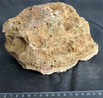 Камень-эксклюзив Сетчатый S (10-20см) №13 PR-222575-13