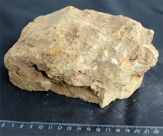 Камень-эксклюзив Сетчатый S (10-20см) №19 PR-222575-19