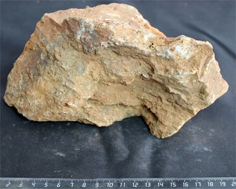 Камень-эксклюзив Сетчатый S (10-20см) №21 PR-222575-21