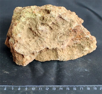 Камень-эксклюзив Сетчатый S (10-20см) №22 PR-222575-22