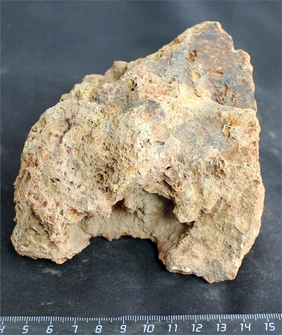Камень-эксклюзив Сетчатый S (10-20см) №23 PR-222575-23