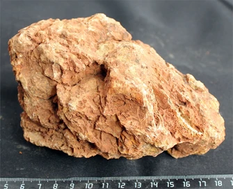 Камень-эксклюзив Сетчатый S (10-20см) №24 PR-222575-24