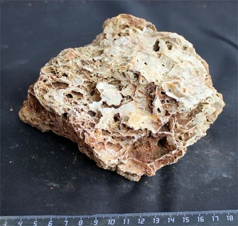 Камень-эксклюзив Сетчатый S (10-20см) №25 PR-222575-25