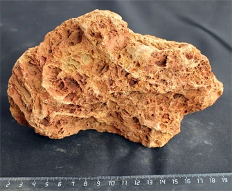 Камень-эксклюзив Сетчатый S (10-20см) №26 PR-222575-26