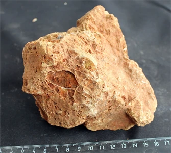 Камень-эксклюзив Сетчатый S (10-20см) №27 PR-222575-27