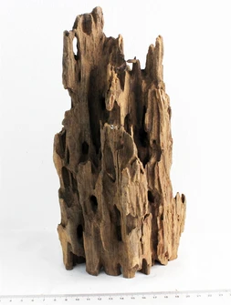 Коряга-эксклюзив Дракон S №4 PR-080188-4