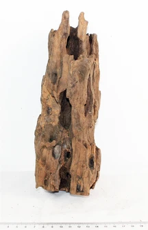 Коряга-эксклюзив Дракон S №6 PR-080188-6