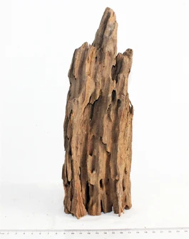 Коряга-эксклюзив Дракон S №7 PR-080188-7