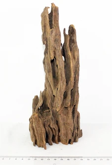 Коряга-эксклюзив Дракон S №12 PR-080188-12