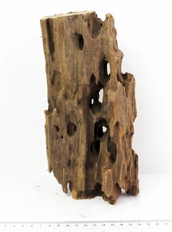 Коряга-эксклюзив Дракон S №16 PR-080188-16