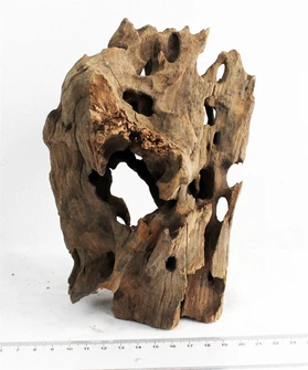 Коряга-эксклюзив Дракон S №17 PR-080188-17