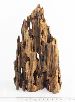 Коряга-эксклюзив Дракон S №19 PR-080188-19