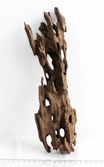 Коряга-эксклюзив Дракон S №20 PR-080188-20