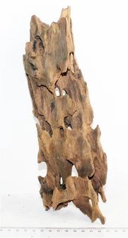 Коряга-эксклюзив Дракон S №21 PR-080188-21