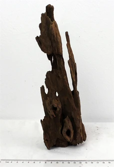 Коряга-эксклюзив Дракон S №23 PR-080188-23