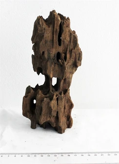 Коряга-эксклюзив Дракон S №24 PR-080188-24