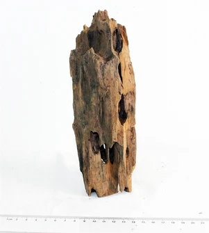Коряга-эксклюзив Дракон S №25 PR-080188-25