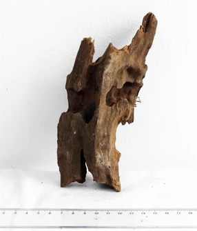 Коряга-эксклюзив Дракон S №27 PR-080188-27