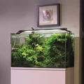 AQUAEL LEDDY SLIM PLANT 2.0 36Вт (100-120см) белый - LED-светильник для аквариума 124211