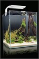 AQUAEL Shrimp Set Smart II 30 л - аквариум белый 114960 - фото 17916 AQUAEL Shrimp Set Smart II 30 л - аквариум белый 114960 - фото 17916
