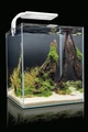 AQUAEL Shrimp Set Smart II 30 л - аквариум белый 114960