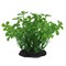 ArtUniq Marsilea green 10-12 - Искусственное растение Марисилия зеленая, 10-12 см - фото 18506