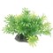 ArtUniq Micranthemum 10-12 - Искусственное растение Микрантемум, 10-12 см - фото 18508