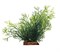ArtUniq Nitella 18 - Искусственное растение Блестянка, 16x15x18 см - фото 18512