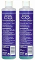Dennerle BIO CO2 Refill-Depot 2x - Набор из двух баллонов с контролируемым гелем для CO2-систем BIO Den-3005