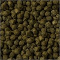 sera Cichlid Green XL 10 л (3,6 кг) - гранулы со спирулиной (10%) для крупных травоядных цихлид S0218 - фото 20781