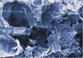 sera Siporax 1 л - сверх-высокоэффективный биологический наполнитель для фильтров S8472 - фото 21182 sera Siporax 1 л - сверх-высокоэффективный биологический наполнитель для фильтров S8472 - фото 21182
