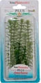 Tetra Anacharis 15 см - растение для аквариума 606883