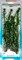 Tetra Anacharis 30 см - растение для аквариума - фото 21670