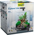 Tetra AquaArt Explorer Line 60л - аквариум со встроенным фильтром и LED-освещением Tet-236868 - фото 21719